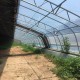 大棚双膜骨架采用*特Ｃ型槽钢结构好卡膜