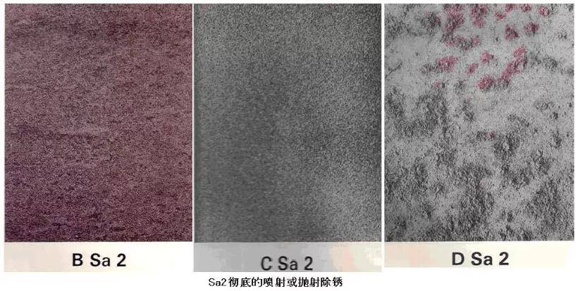 316钢材的密度是多少_菲仕乐是用的316钢材吗_316是什么钢材
