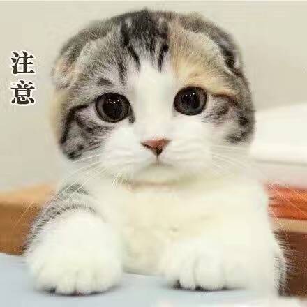 2017年钢材价格走势_2017年11月钢材价格_2015-2017年钢材价格