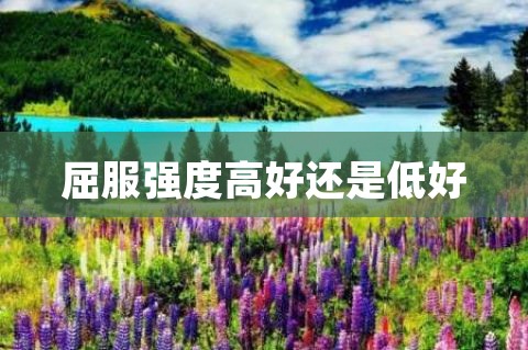 屈服强度高好还是低好