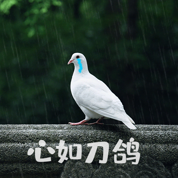 2017年钢材暴涨原因_钢材暴涨_特殊钢材工厂企业特殊钢材生产厂家