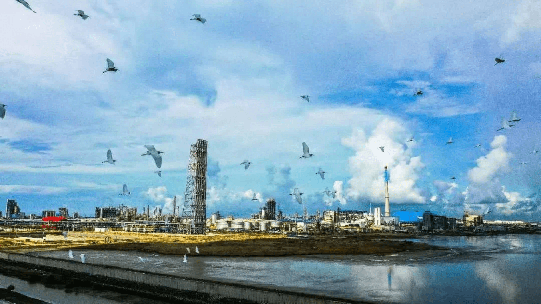 海岛奇兵60级钢材资源岛_湛江钢材市场价格表_湛江东海岛钢材