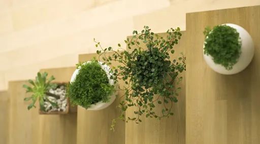 建材材料 钢材服装及_建材材料 钢材服装_钢材建材榆树