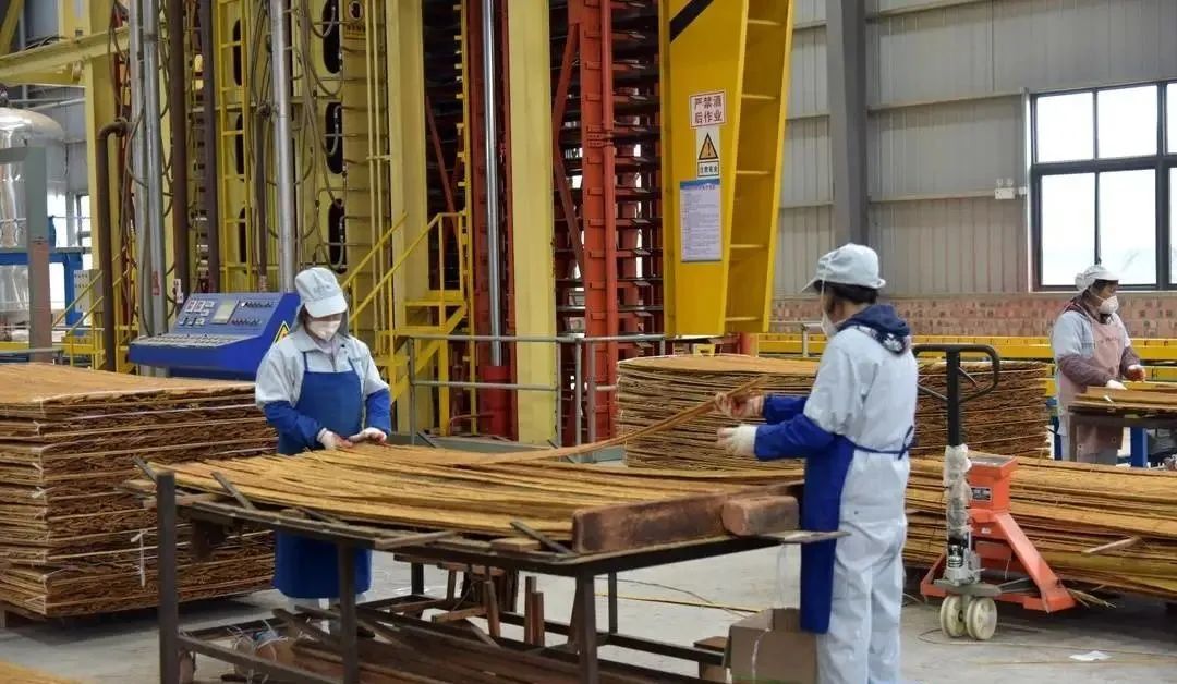 钢材弹性模量_储能模量比耗能模量_钢材变形模量