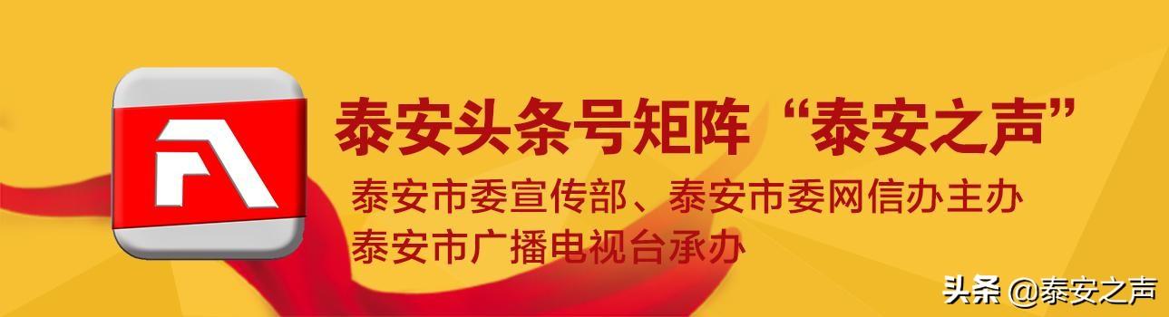 泰安有几个钢材市场_泰安钢材价格_泰安满庄钢材市场