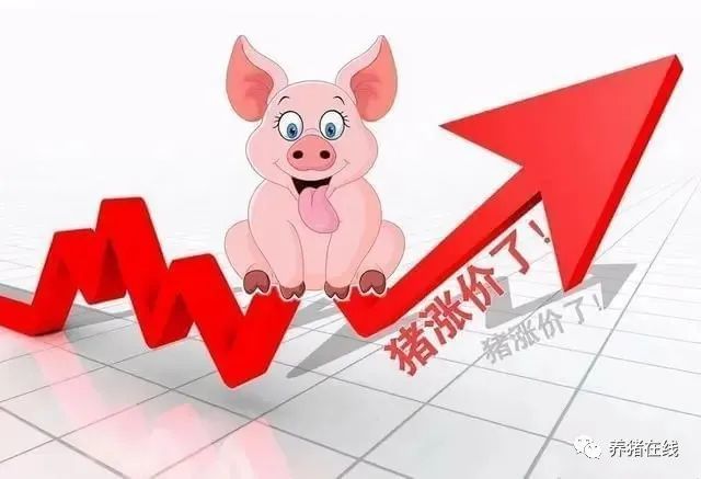 泰安有几个钢材市场_泰安钢材价格_泰安满庄钢材市场