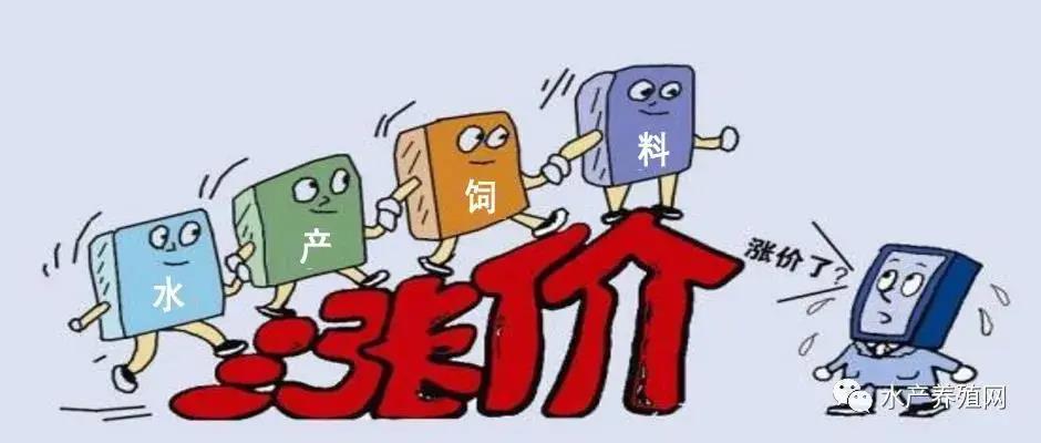 钢材涨价股票涨吗_钢材涨价通知函_钢材涨价 原因