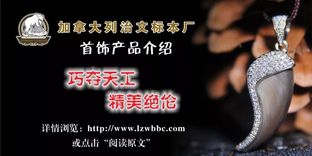 制作刀具最好的钢材_制作刀具最好的钢材_最好的刀具钢材
