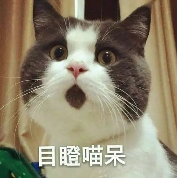 金融行业会计做账流程_餐饮业会计做账流程_钢材行业会计做账流程