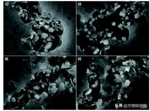 汽车钢材变形类型_什么钢材不容易变形_钢材温度引起的变形公式