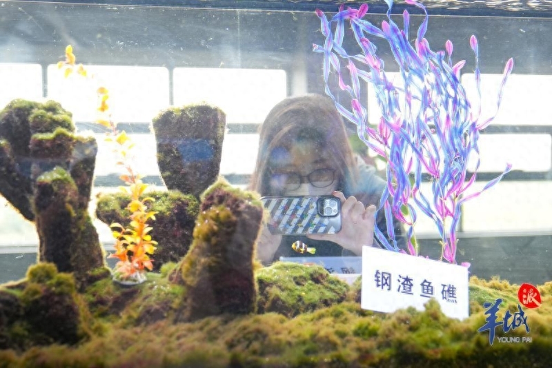 湛江南三海岛_海岛奇兵33钢材资源岛_湛江东海岛钢材