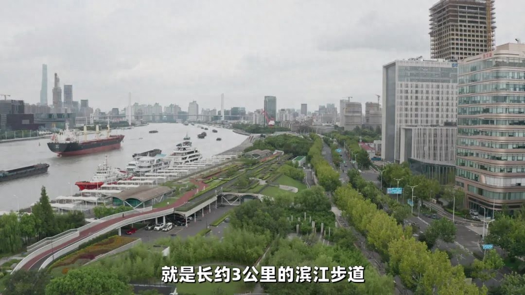 上海世博会材料_上海世博园钢材是谁供应_上海世博金属制品厂