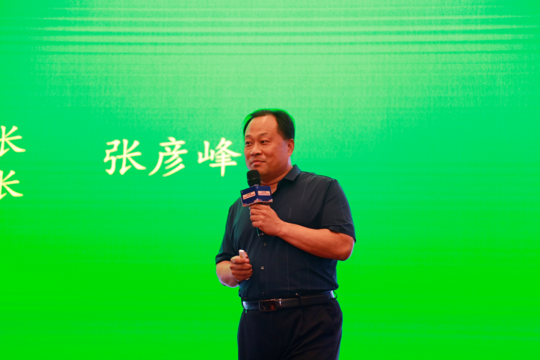 钢材线材型号有哪些_钢材线材型号_钢材线材型号规格表