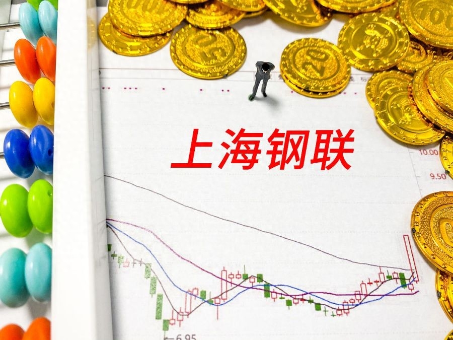 上海百强企业cio名单_上海挂靠黑中介名单_上海市钢材十大黑名单企业