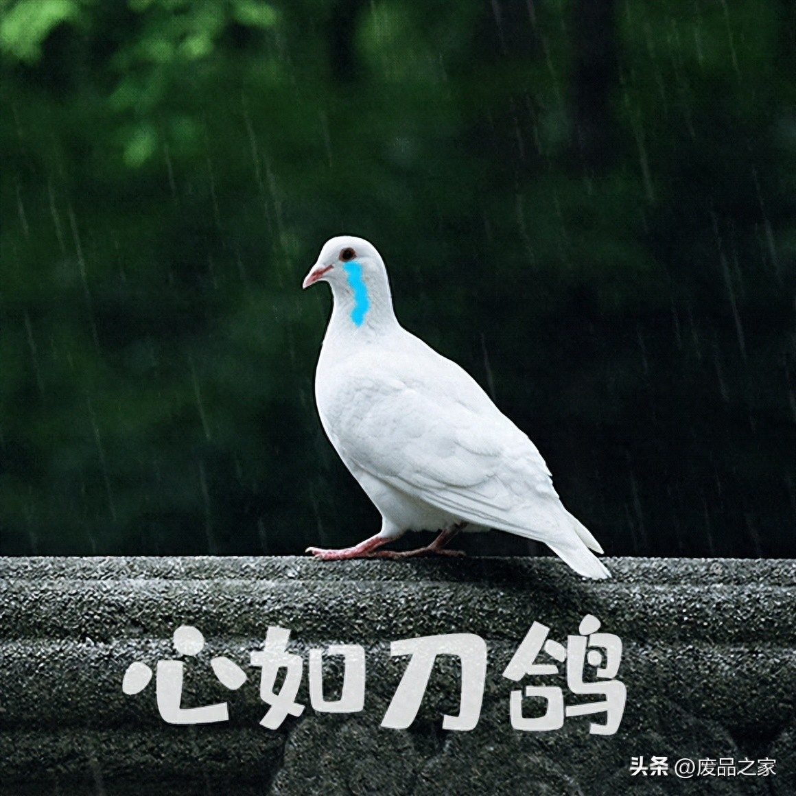 钢材未来走势_2023钢材走势分析预测_钢材未来价格走势