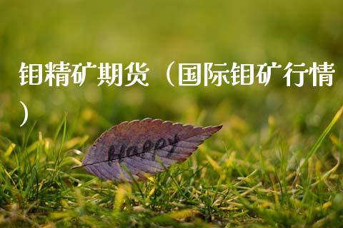 国际期货钢铁_国际钢材期货行情_国际钢材 期货