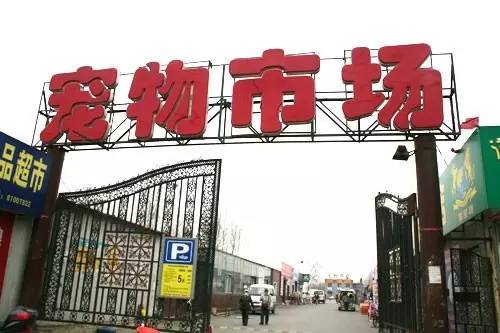 西瓦窑钢材市场搬到哪_西窑钢材市场搬哪去了_西瓦窑钢材市场