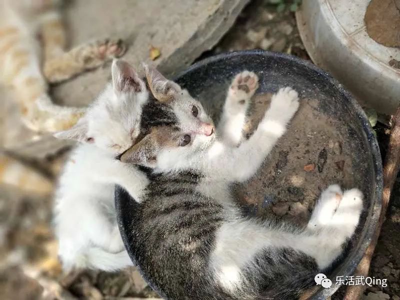 个人旧货交易平台_个人转让旧货_转让个人旧货怎么交税