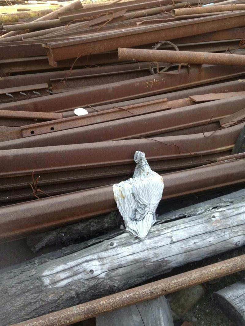 塘沽废钢废铁价格_废铁废钢价格最新行情_废钢废铁回收