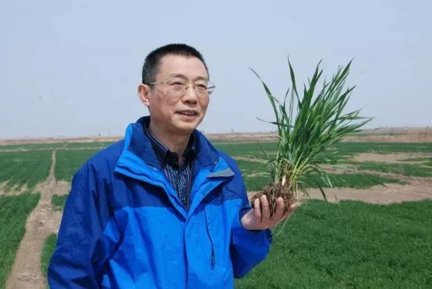 复合钢材_钢材复合板是什么意思_钢材复合板缺陷