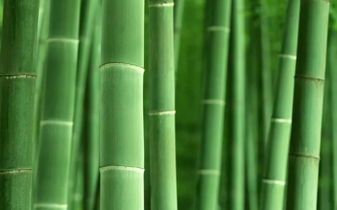 钢材性能定义_钢材性能定义_钢材性能定义