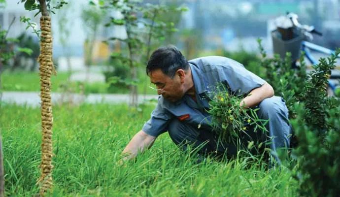 钢材的机械共振频率_钢结构共振频率_钢材共振频率机械原理