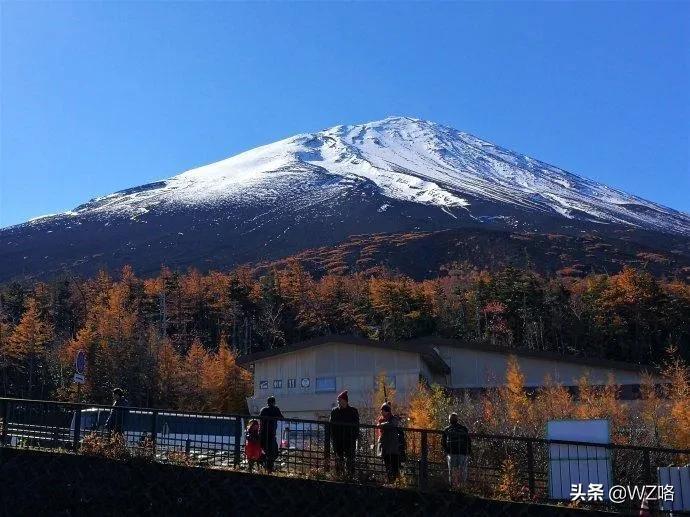 日本建筑钢结构设计_日本钢结构_日本钢材建筑