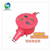 BHG1-200/10-2G两通高压电缆接线盒橡套